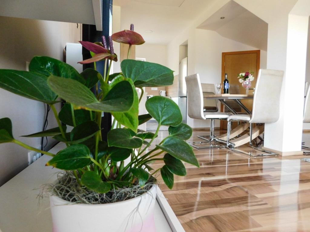 Apartman Lara u Otočcu — Dnevni boravak